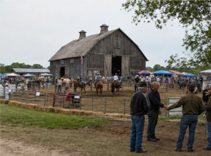 The Hollow Barn — vue 4