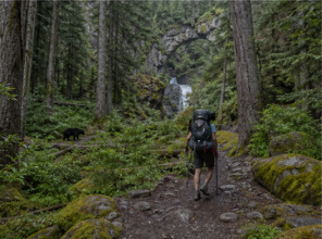 Ravencrest National Park — vue 3
